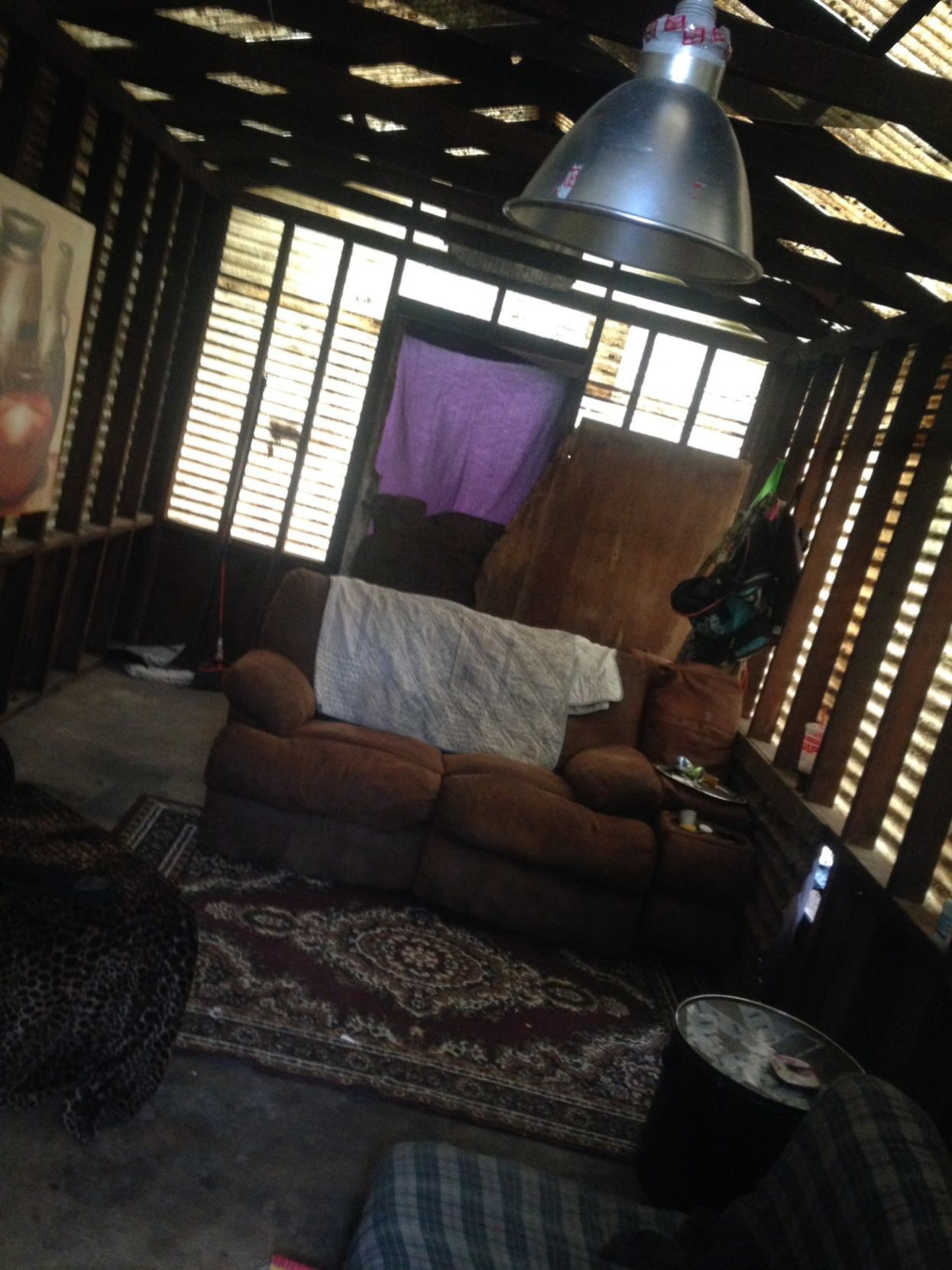 Inside the Coop